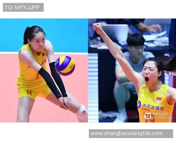 重庆排球队实力分析与发展前景探讨全面解读